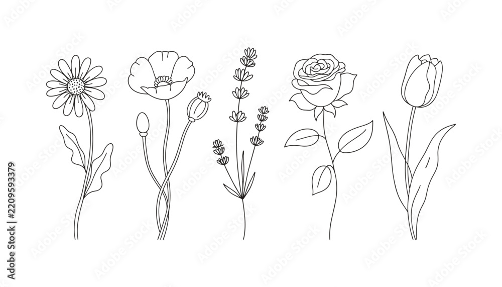 Fototapeta premium Set of hand drawn floral sketches featuring different garden flowers isolated on white background