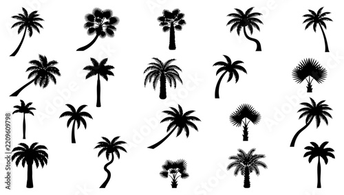 Palm Tree Silhouettes: A collection of diverse palm tree silhouettes showcasing various shapes, sizes, and growth patterns, evoking tropical and exotic themes.