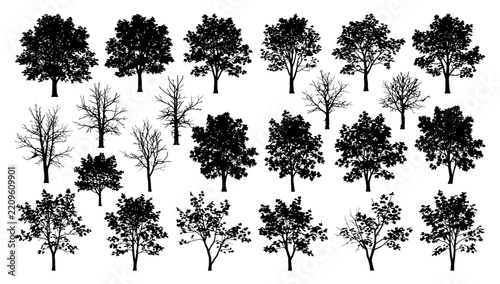Collection of Tree Silhouettes: A diverse array of tree silhouettes showcases various species in different seasons, from lush foliage to bare branches, representing nature's cycle.