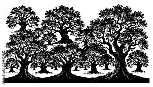 Ancient Oak Forest Silhouette: A majestic grove of ancient oak trees rendered in striking black and white silhouette, their gnarled branches reaching towards the sky.