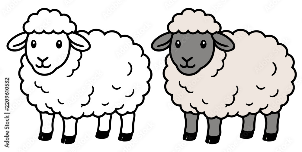 Obraz premium Two cartoon sheep, one outlined and one colored, stand side by side, showcasing a simple illustration for children or educational purposes.