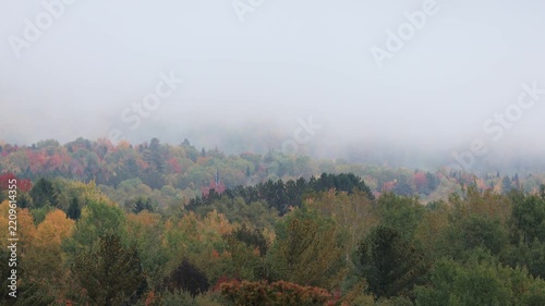 brouillard dans la forêt en automne, Brume sur la montagne emn automne.