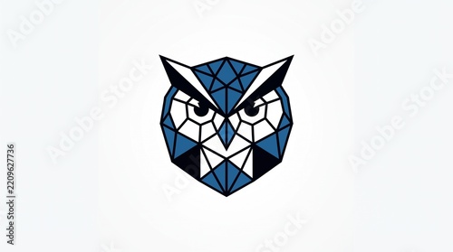 Geometric Owl Head Logo in Blue and White