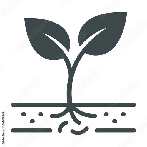 Sprouting plant seedling with leaves growing in soil