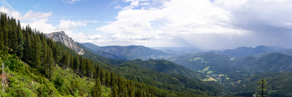 Fototapeta premium Panoramic Alpine Valley with Vast Evergreen Forest and Rugged Mountain Ridges Beneath Expansive Cloudy Sky