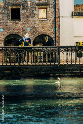 Obraz na plátně treviso