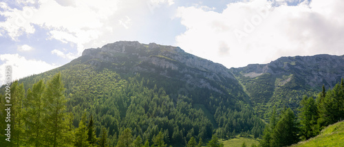 Sunlit Limestone Mountain Ridge Rising above Dense Alpine Forest and Green Valley in Rax Alps Austria