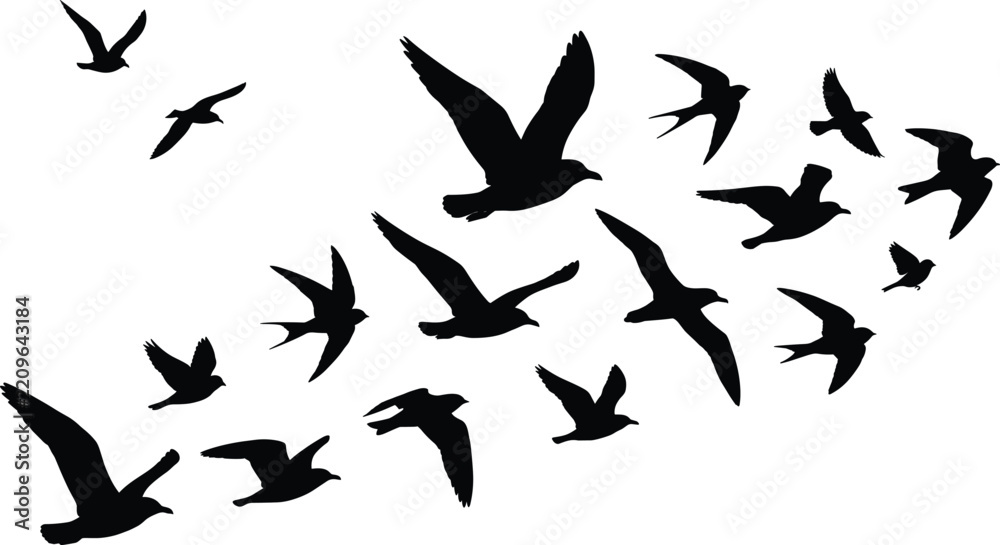 Fototapeta premium Flying bird silhouette set featuring flock of birds in sky for architectural entourage, landscape rendering, exterior elevation and graphic banner design.