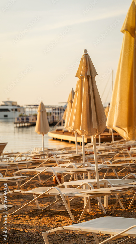 Fototapeta premium Rows of empty sun loungers and closed parasols on a sandy beach at sunset by the calm marina