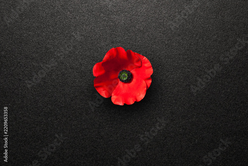 Poppy flower on black textured background. Decorative flower for Remembrance Day. Memorial Day. Veterans day.