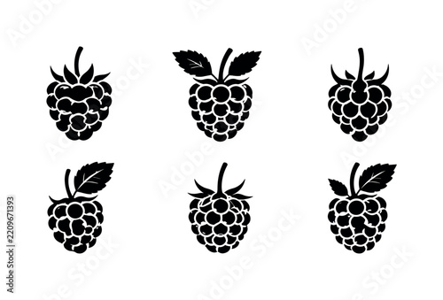 Set of six black raspberry silhouette icons arranged in a clean grid on a white background