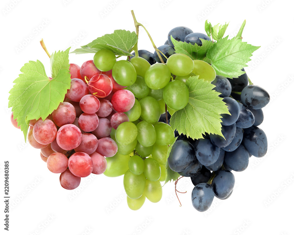 Obraz premium Red, green and black grape clusters isolated on white