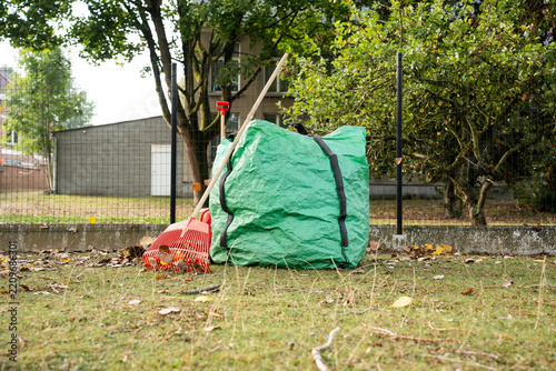 Red plastic lawn rake and a large green garden waste bag filled with dry fallen autumn leaves on a backyard lawn. Seasonal yard work, gardening equipment and outdoor property maintenance concept, low 