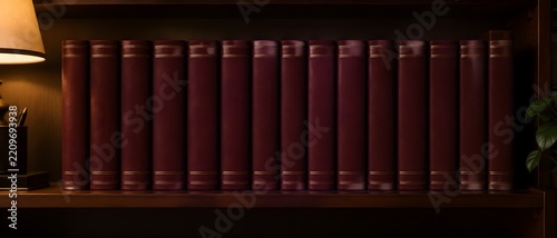 Row of blank hardbound dissertation volumes in muted burgundy aligned on a lecturer office shelf