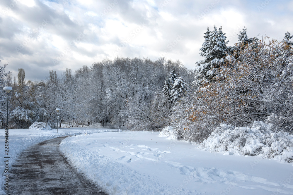 Obraz premium Winter Landscape of South Park in city of Sofia, Bulgaria