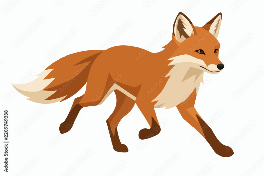 Fototapeta premium Copper red fox trotting forward in profile with faceted geometric fur, ivory chest and tail tip, isolated on clean solid white background for wildlife branding vector illustration art