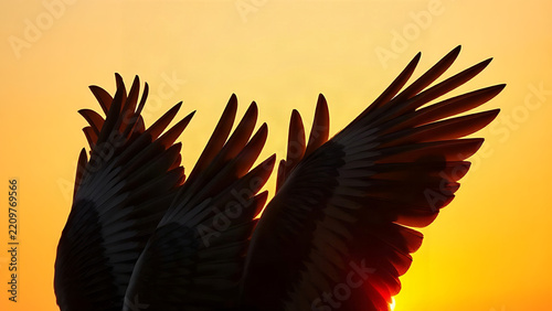 Overlapping bird wingtips in V-formation against warm sunset sky, teamwork and unity in nature concept