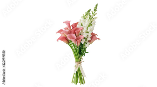 Pink calla lilies and white snapdragons bouquet tied with ribbon on png background