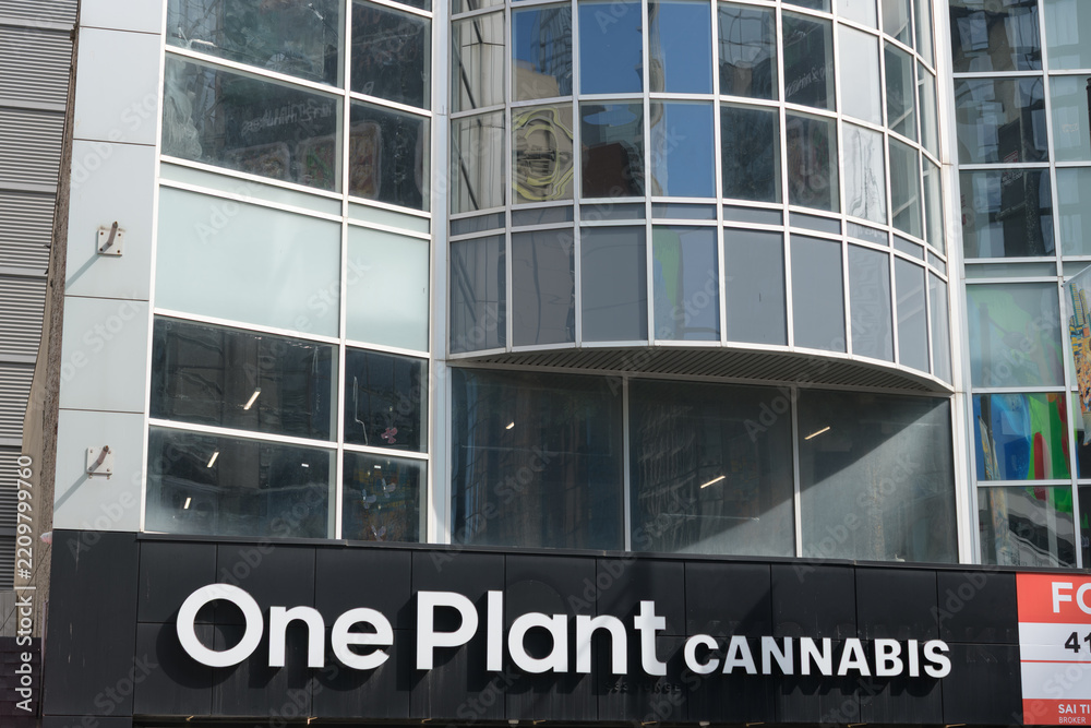 Obraz premium One Plant Cannabis store sign outside 333 Yonge St, Toronto