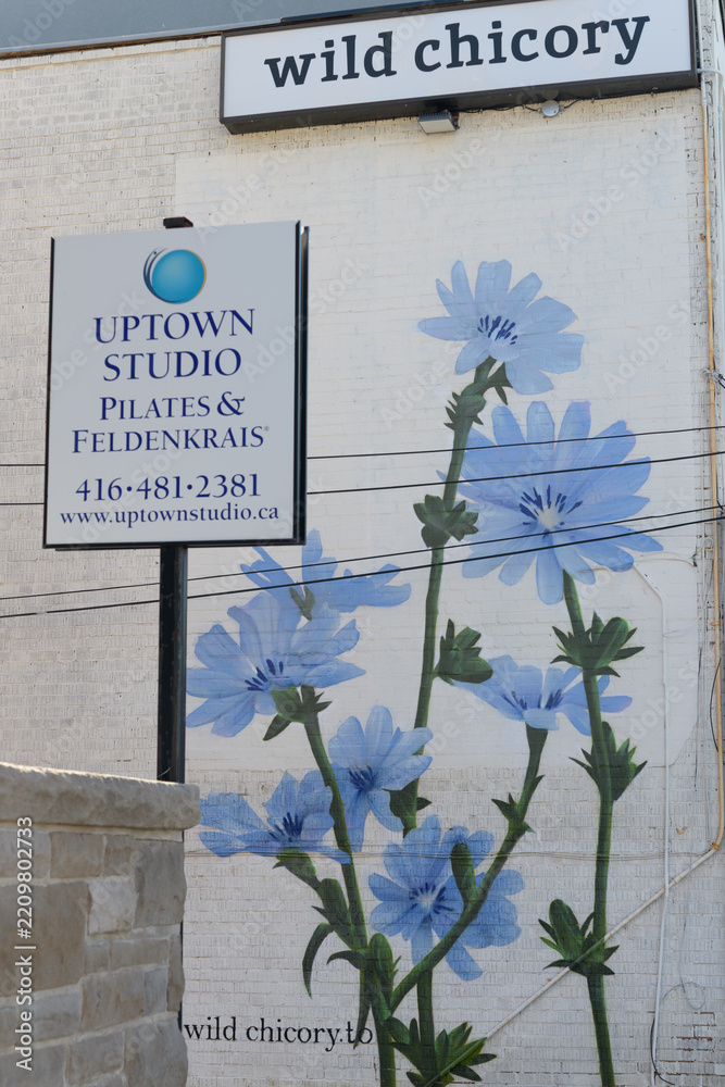 Obraz premium mural outside north facing wall of Wild Chicory, a restaurant (525 Mount Pleasant Rd) and Uptown Studio (527 Mount Pleasant Rd), Toronto