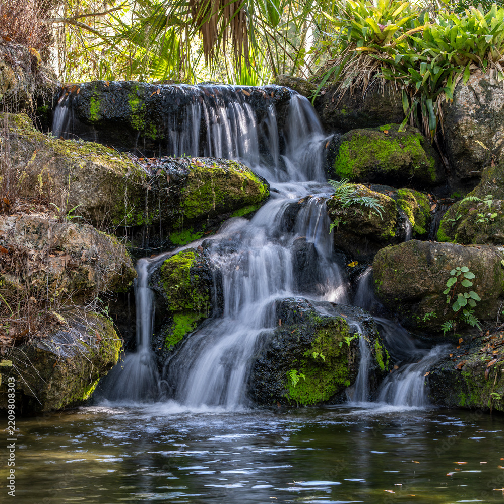 Obraz premium waterfall in the forest