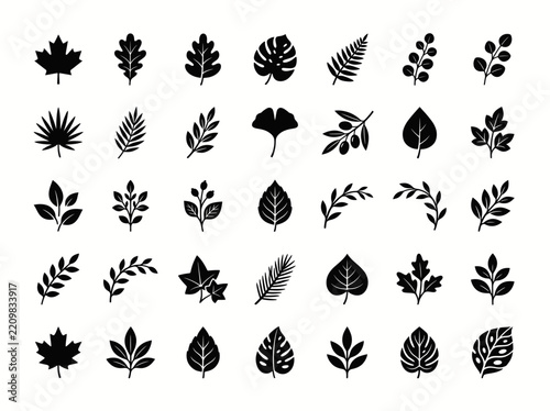 Assorted Botanical Leaf Silhouettes Collection