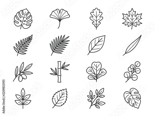 Botanical Leaves Outline Icon Set