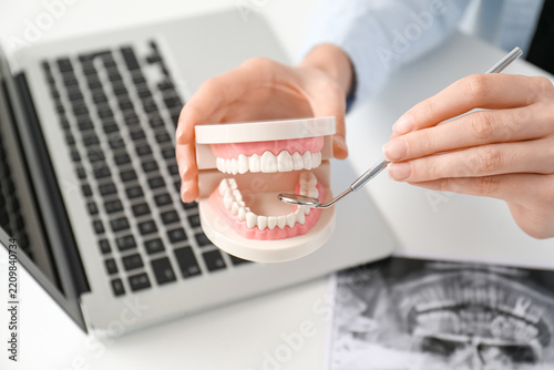 Dental consultation and oral health education, dentist holding a jaw model wi...