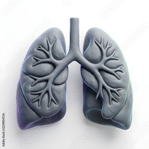 3D Render Human Lungs Clay Style Slate Grey