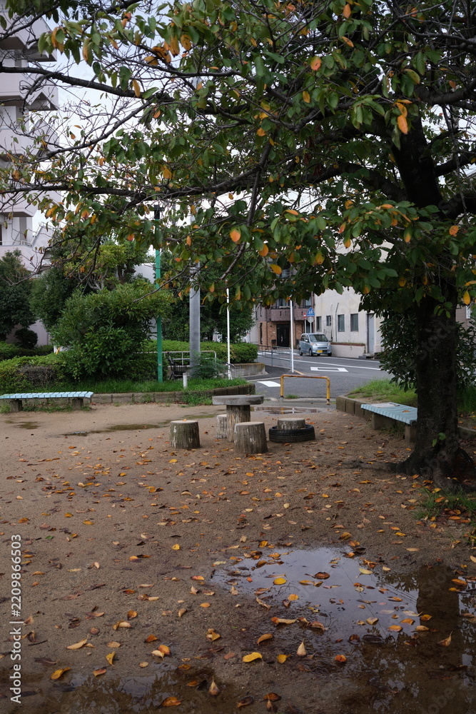 Fototapeta premium Autumn park scene with fallen yellow leaves on the ground, wooden picnic table, and benches in Osaka, Japan. 