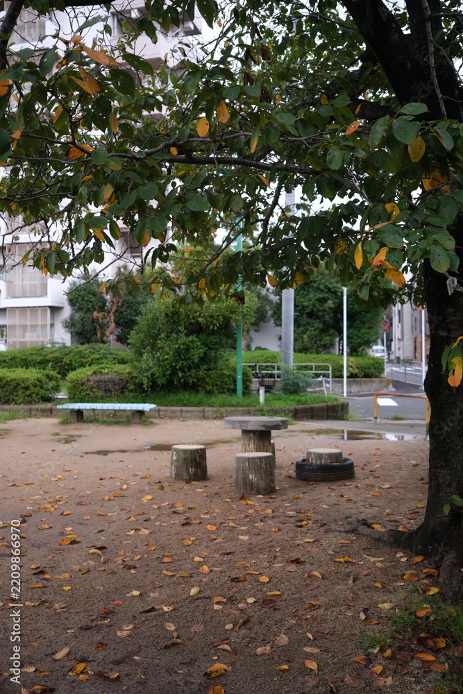 Fototapeta premium Autumn park scene with fallen yellow leaves on the ground, wooden picnic table, and benches in Osaka, Japan. 