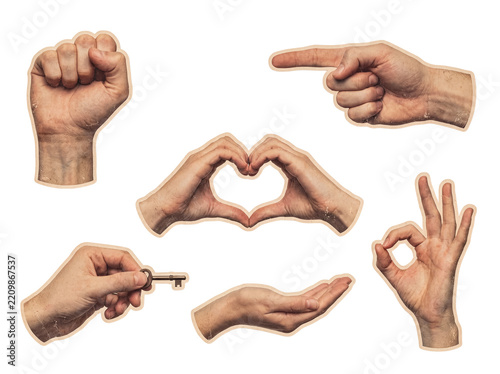 Six diverse human hands in various gestures on transparent