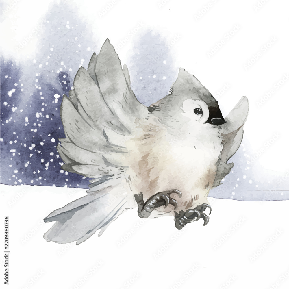 Obraz premium Tufted titmouse bird in wintertime watercolor vector
