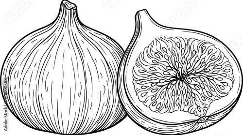 Botanical line art illustration of whole and halved figs.