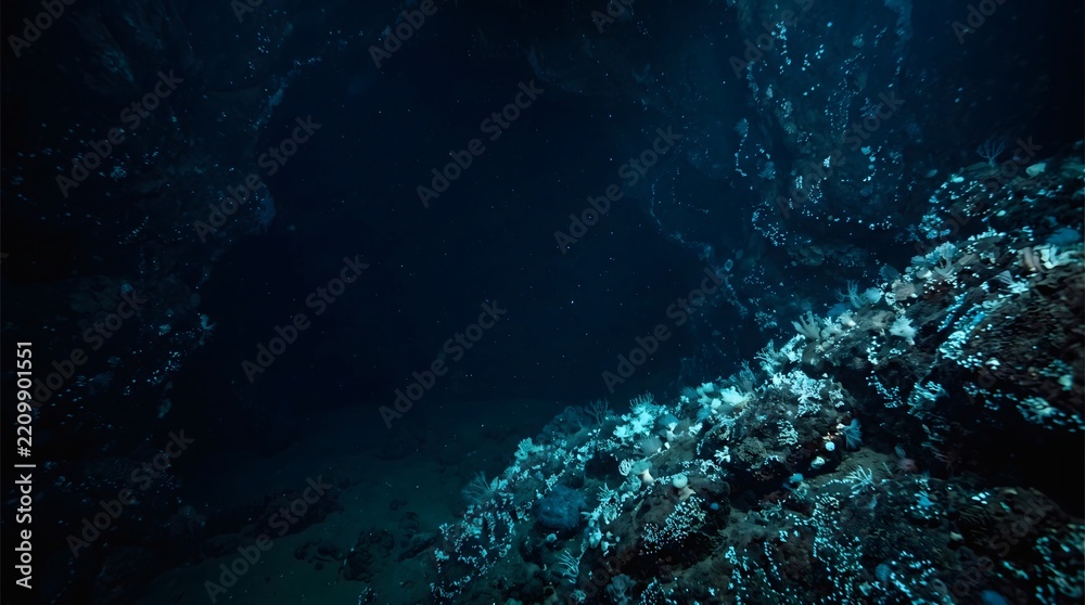 Fototapeta premium Deep Underwater Dark Seascape with Glowing Coral Reef.