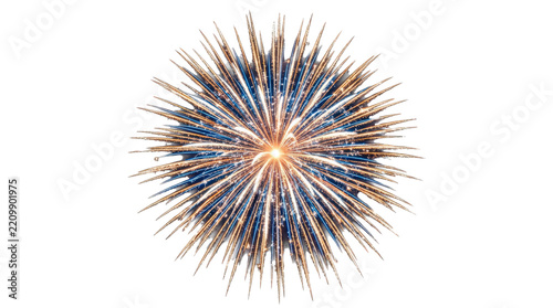 Single aerial firework burst with radiant symmetrical streaks, sparkling points and vivid luminous trails forming a crisp starburst pattern. Photorealistic long-exposure style image, straight-on view,
