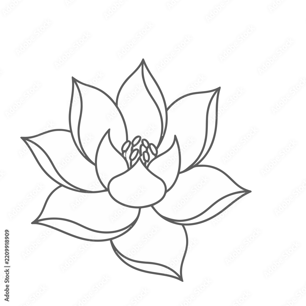 Fototapeta premium Outline of a Lotus Flower