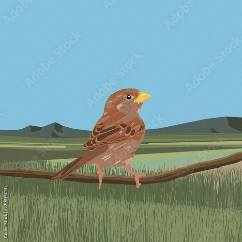 Sparrow perching on branch with rural landscape