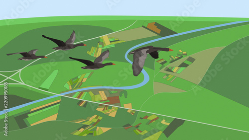 Geese flying over rural landscape with river
