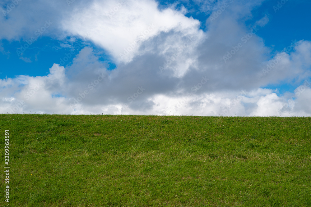 Obraz premium Meadow meets dramatic white cumulus clouds. Open sky rises above the meadow. Meadow scenery defines peaceful rural freedom. Green grass covers the meadow horizon.