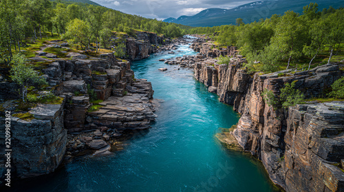 Scenic river flowing through rocky canyon surrounded by lush green trees and distant mountains