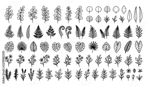 Modern Eucalyptus Fern and Natural Foliage Botanical Vector Set