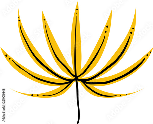Handdrawn Autumn Yellow Palm Leaf Foliage Botanical Illustration Element