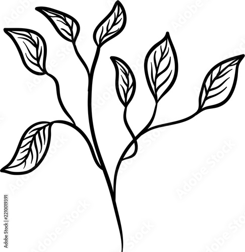 Minimalist Hand Drawn Botanical Plant Branch With Leaves Line Art Illustration
