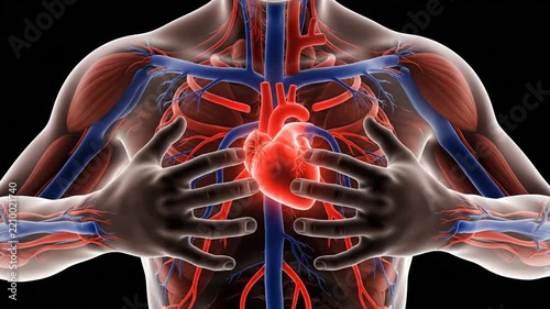 Human Heart Anatomy with Circulatory System, and Health.