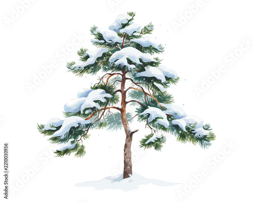 Watercolor Winter Pine Tree, Snowy Evergreen Forest Element, Vector Illustration Isolated on White Background