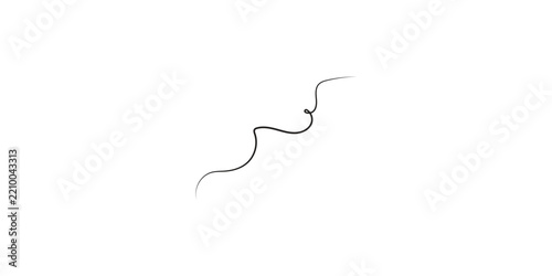 Single strand of dark hair isolated on a clean white background.