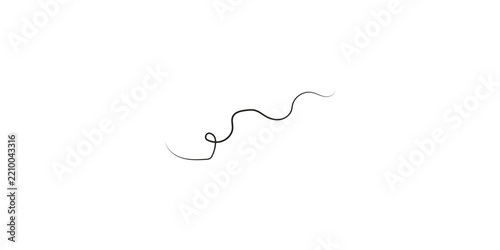Single strand of dark hair isolated on a clean white background.