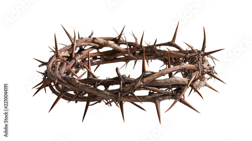Woven crown of sharp thorns with long wooden spikes