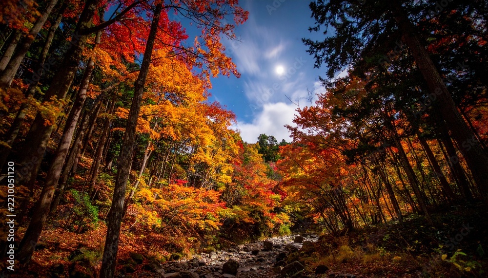 Fototapeta premium Enchanted Autumn Woodland with Golden Foliage and Atmospheric Moonlight